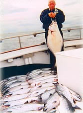 salmon fishing homer alaska